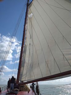 Segeltörn auf dem Ijsselmeer (Foto: Alexander von Rüden)